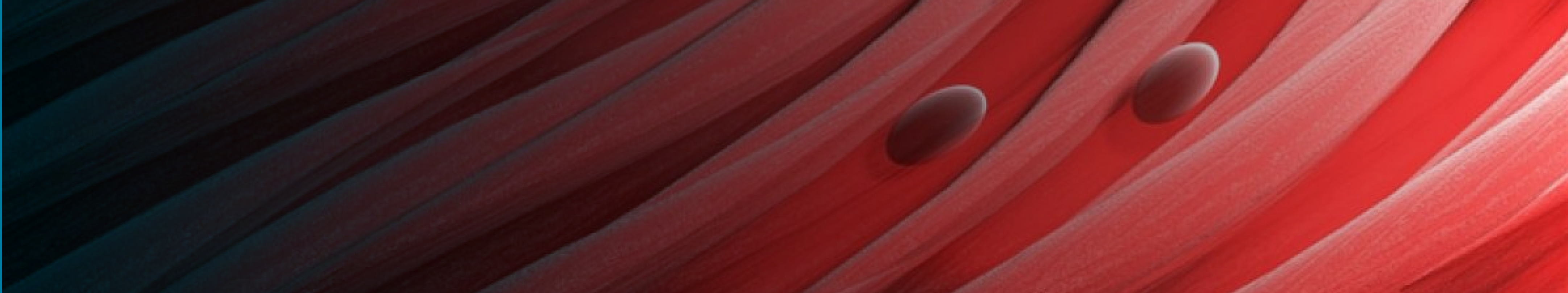 Renal-manifestation-desktop-banner