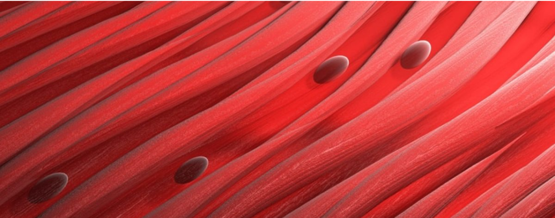 Renal-manifestation-mobile-banner