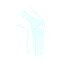 image of bones