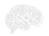 image of brain