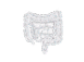 image of GI System