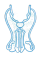 image of Male Reproductive Organs
