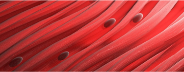 Cystinosis and Reproductive Health Challenges | For HCPs