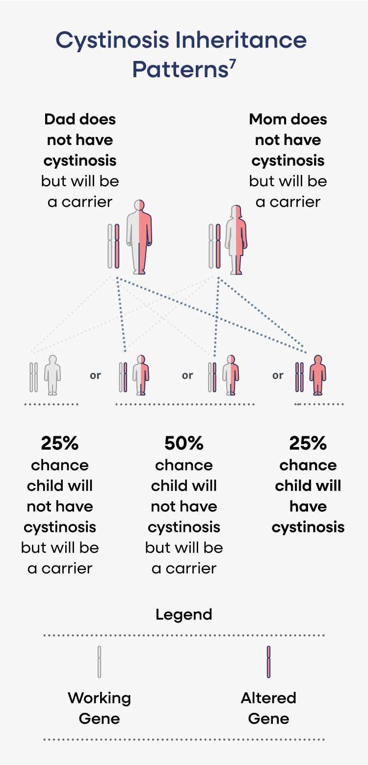 Cystinosis inheritance Pattern mobile