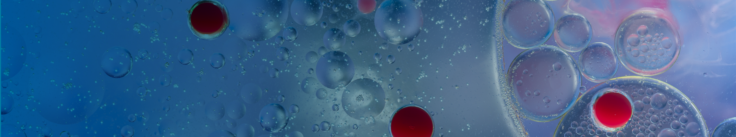 find a specialist banner