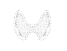 image of thyroid